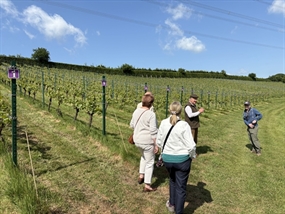 Customer Photo of Wellhayes Vineyard Tour for Two with Cream Tea